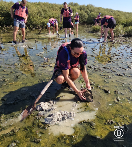 Bcorp Mangrove GSB